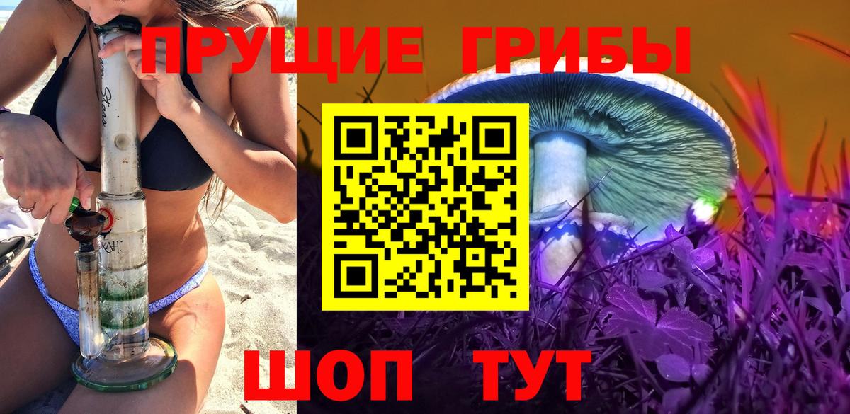 Озёрск  Псилоцибиновые грибы Cubensis  Вход с VPN  Псилоцибиновые грибы Psilocybe 